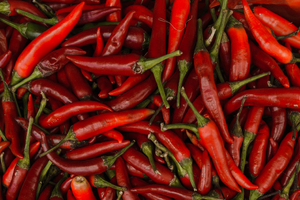 Chauffagiste Cayenne